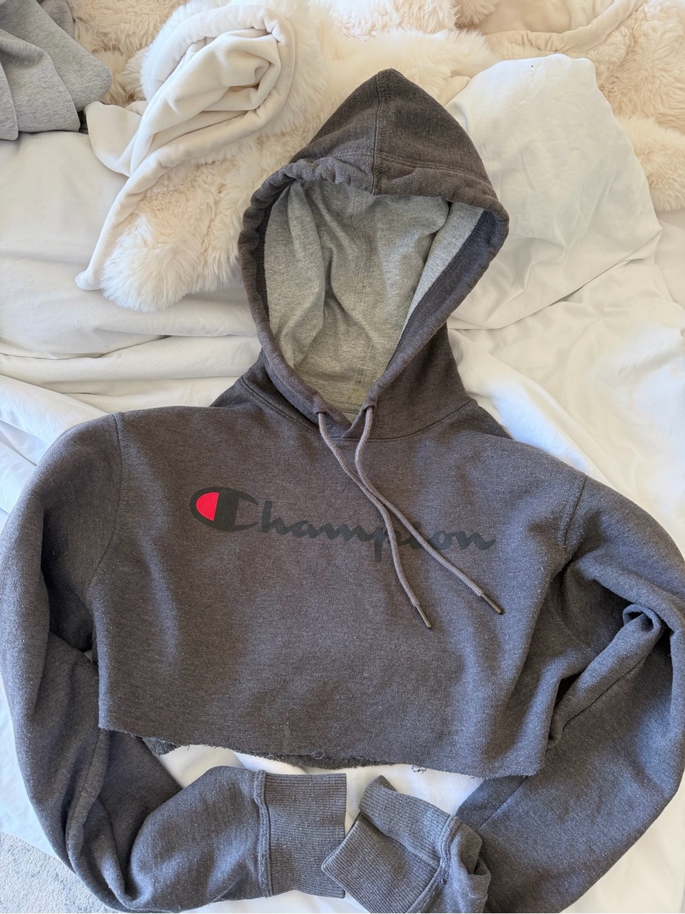 Champion Cropped Hoodie